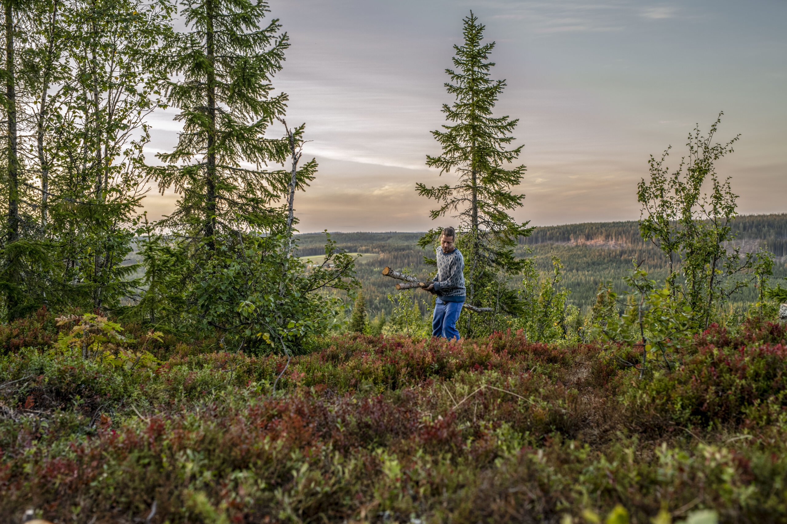 Markus Torgeby i skogen